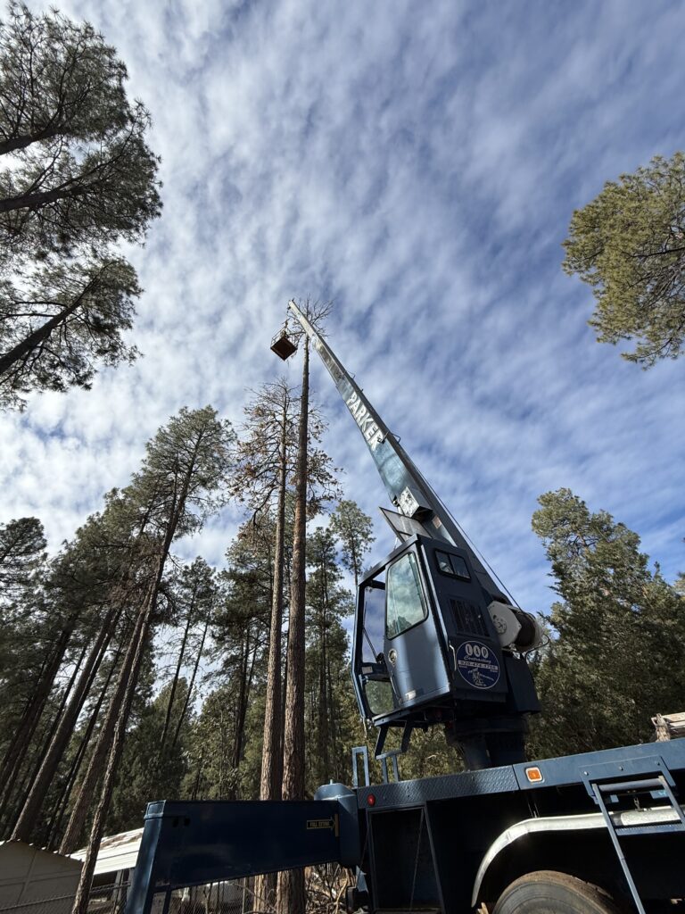 Tree work with a crane