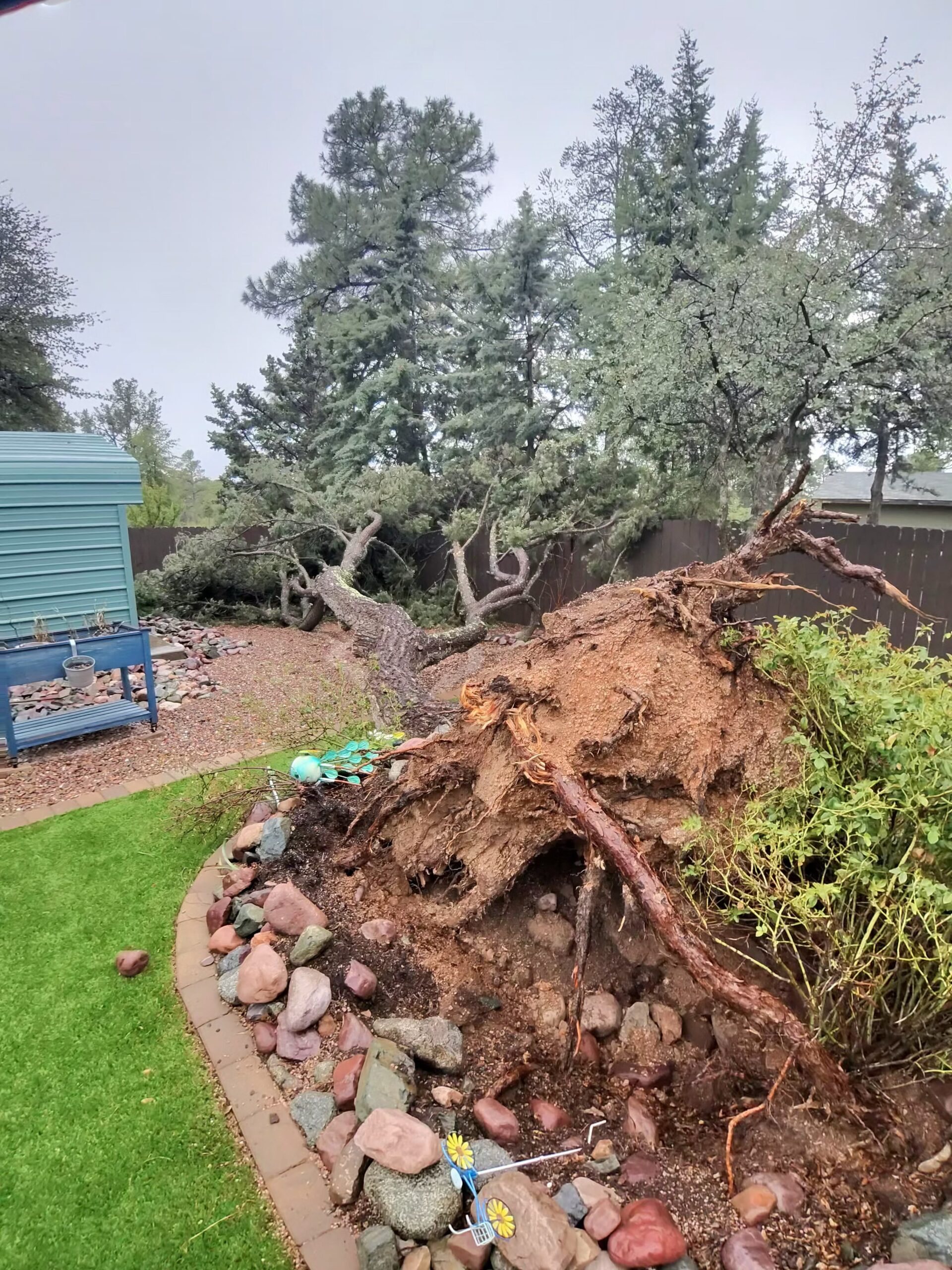 Emergency Tree Service